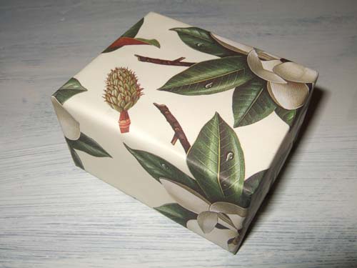 juilette at Home - Green Tea Pure Vegtable Soap